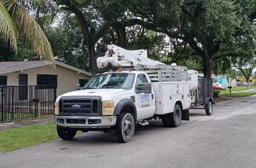 LEON TREE SERVICE in Miami Florida